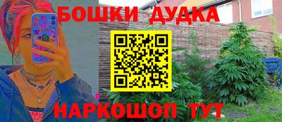 шишки Гусь-Хрустальный