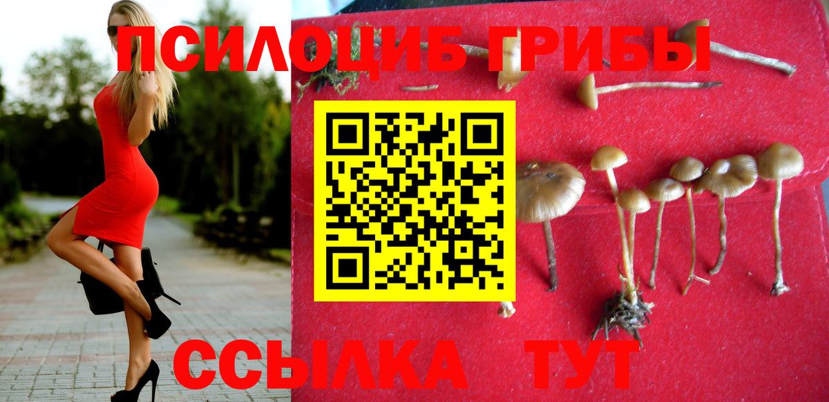 магазин продажи   Псилоцибиновые грибы мицелий  Вход с VPN  Мариинск  Псилоцибиновые грибы GOLDEN TEACHER 