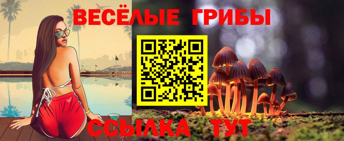 Псилоцибиновые грибы GOLDEN TEACHER Мариинск
